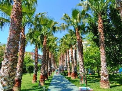 Gardenia Beach Hotel Resim Galerisi